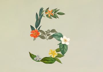 Anthropic выпустила Claude Sonnet 5: новая модель почти догнала Opus 4.8, сохранив низкую цену